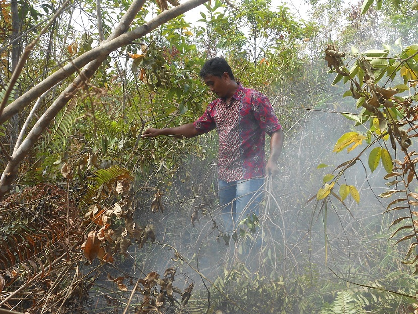 Lahan Terbakar Dekati 2.000 Hektar, Ribuan Warga Riau Mulai Terserang ISPA 