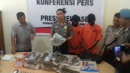 Dipasok dari Sumut, Resnarkoba Polres Pelalawan Ciduk Bandar Pemilik 4 Kg Ganja 