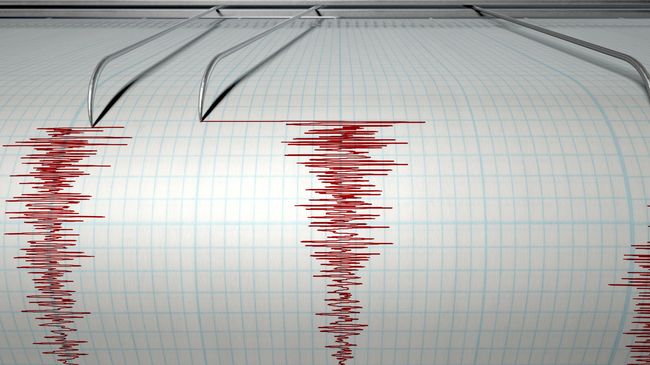 Gempa 6,2 SR Guncang Bali dan Lombok, Warga Berhamburan
