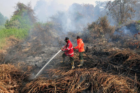 Dua Regu Pemadam Berjibaku Padamkan Kebakaran Lahan di Mandau 