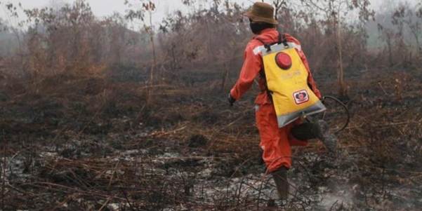 Komisi VIII: Ada Modus Baru Pembakaran Hutan