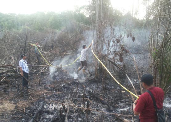 Seorang Lagi Ditangkap, Polres Pelalawan Telah Tetapkan 10 Tersangka Pembakar Lahan 