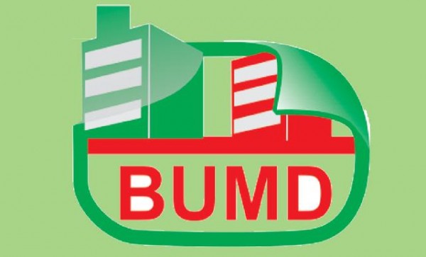 Ternyata tidak Semua BUMD Dimasukkan dalam Perda Penyertaan Modal