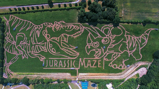 Taman Labirin Unik di Dunia