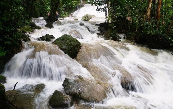 Menyusuri Alam Tambrauw Papua Barat 