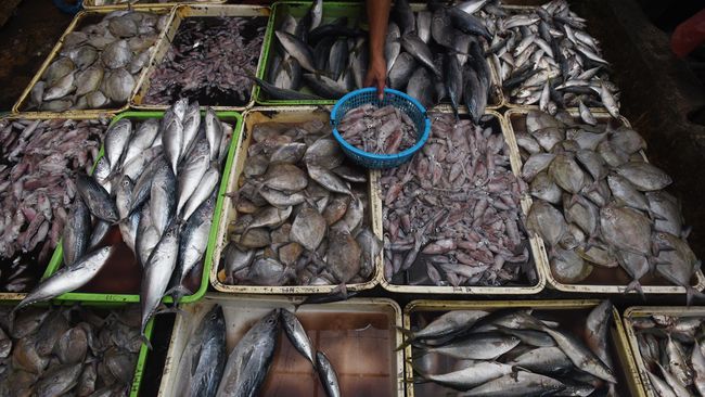 Pemerintah Rancang Peta Jalan Dongkrak Produksi Perikanan