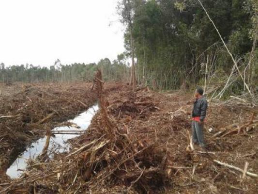 Ketua LPMD Bagan Melibur Himbau Masyarakat Agar Tidak Mudah Terprovokasi