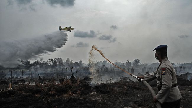 Satgas Kewalahan Padamkan Kebakaran Gambut Meranti