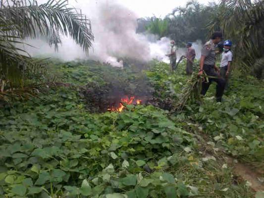 Management PT MCM Gelar Simulasi Karhutla