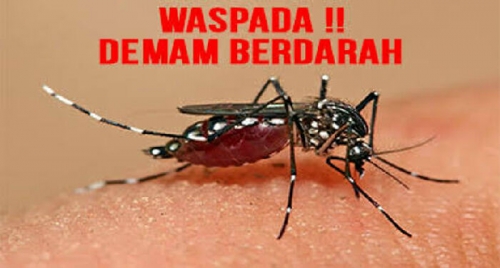 Baru Pertama Kali Terjadi, 4 Warga Kuala Kampar Terserang DBD 