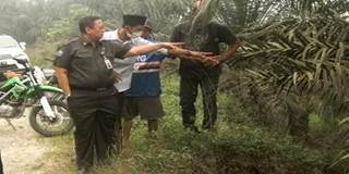 Kadis BMP Rohul Tinjau Jalan Longsor di Desa Ngaso
