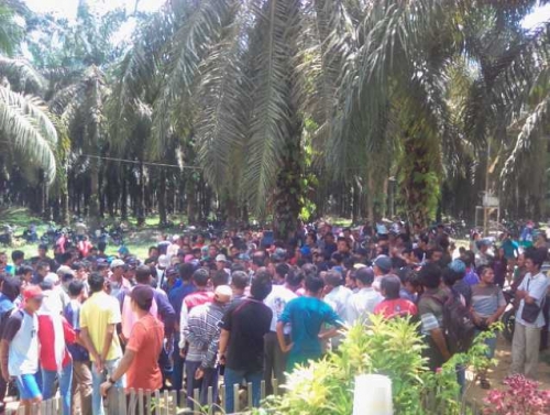 Akhirnya Duta Palma Nusantara Penuhi Tuntutan Karyawannya yang Mogok Kerja