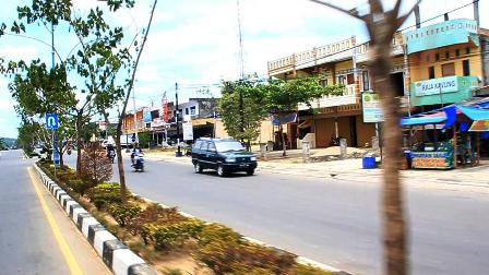 Ditanam Semasa Achmad, Tanaman Hias di Median Jalan Banyak yang Mati Kekeringan 