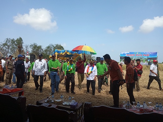 Di buka Sekdaprov Yan Pramana Panen Raya Padi Dua Desa Berjalan Lancar
