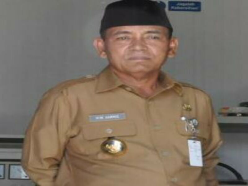 Bupati Harris Akan Tinjau Lokasi Kebakaran di Teluk Meranti 