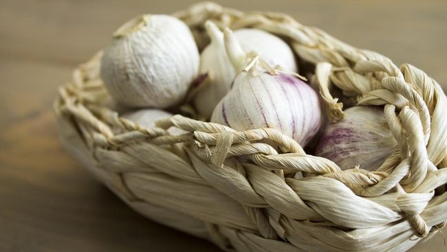 Deretan Antibiotik Alami yang Diyakini Berkhasiat