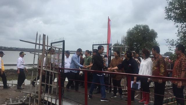 Ditemani Gibran, Jokowi Panen Raya di Tambak Udang Bekasi 