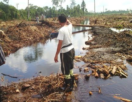 Setahun Tragedi Pungkat, Warga Masih Trauma dan Pertanyakan Penyelesaian Kasus PT SAL
