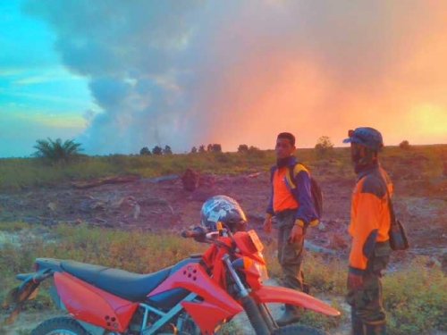 HUT ke-59 Riau Pagi Ini Disambut Kebakaran Lahan di Dumai, Berikut Penampakannya 