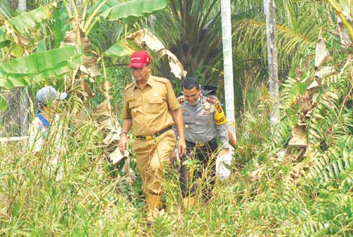 Terpantau 25 Titik Api di Rohil