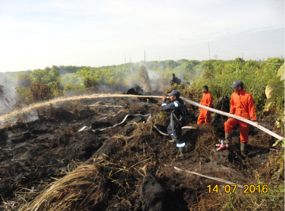 PT Tunggal Mitra Plantations Tunjukkan Komitmen dengan Padamkan Karlahut di Rokan Hilir 
