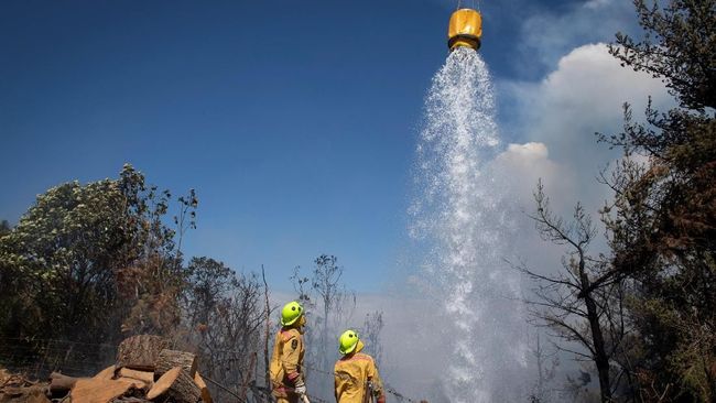 Kebakaran Lahan di Selandia Baru, Ribuan Warga Dievakuasi 