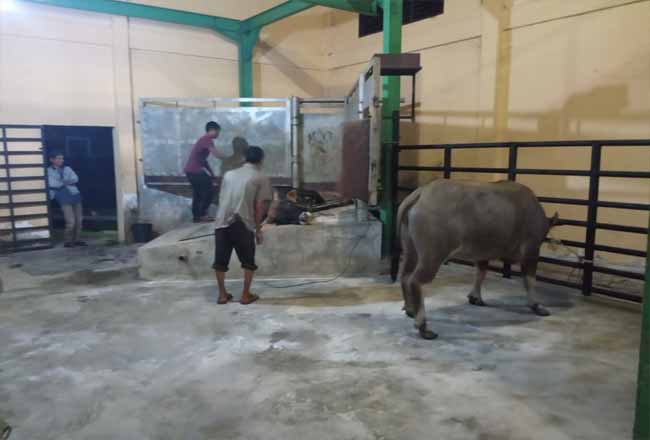 RPH Pasir Pangaraian Sudah Difungsikan, Masih Ada Pemilik TPH Tanpa Izin