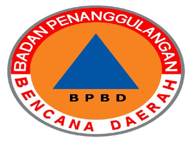 PBD Rohul Dapat Bantuan Pusdatin dari BNPB 