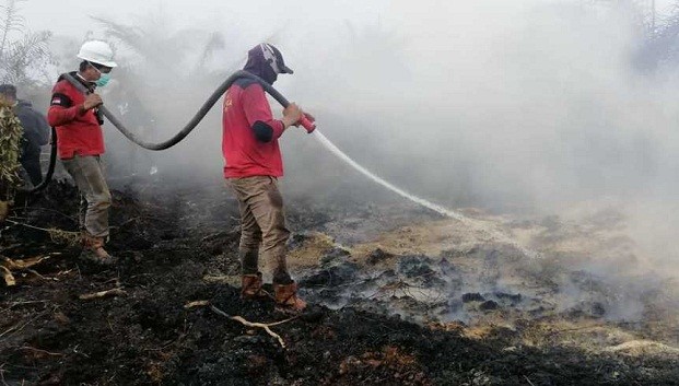 519 Warga Siak Terserang ISPA akibat Kabut Asap