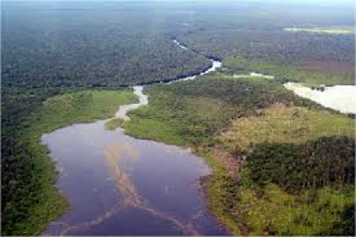 Tak Hanya Hutan Lindung Zamrud, Ternyata Cagar Biosfer Giam Siak Kecil Juga Korban Karhutla 