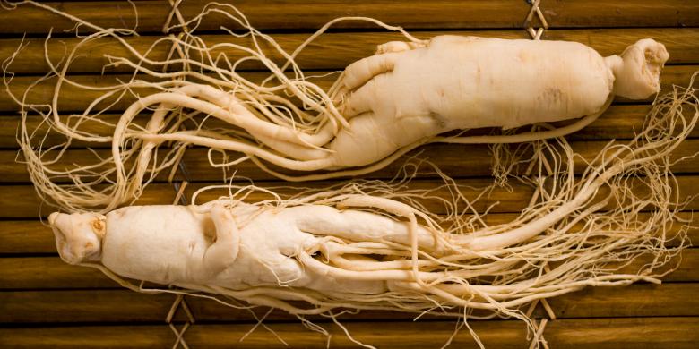 Alasan Perawatan Kulit dari Ginseng Bagus untuk Kulit Wajah Anda 