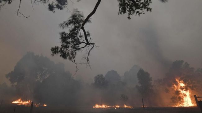 Pesawat Pemadam Api Kebakaran Hutan Australia Jatuh