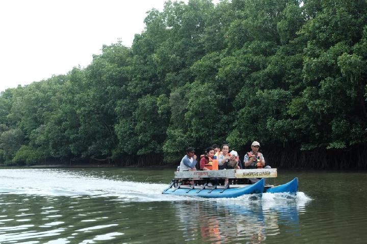 Hutan Mangrove Center, Wisata Edukasi di Balikpapan 