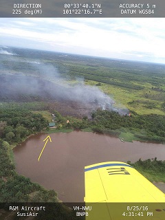 Diduga Sengaja Dibakar Petang Hari, Puluhan Hektare Lahan di Tapung Dilalap Api