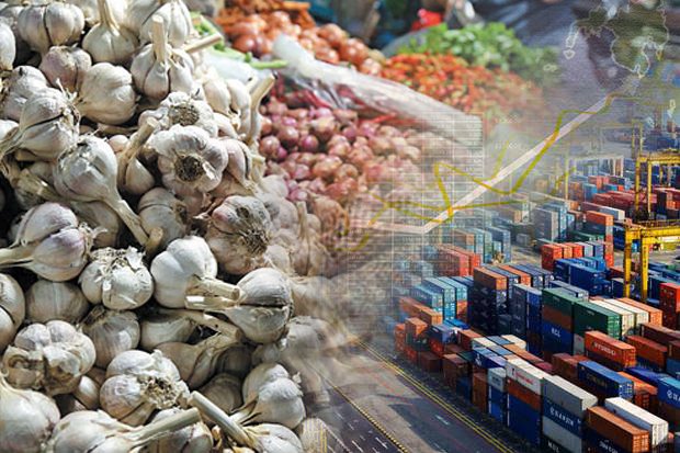 Impor Bawang Putih Atasi Gejolak Harga