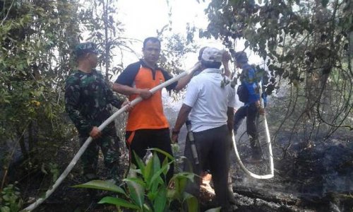 Bersama Polisi, TNI dan MPA, RAPP Berjibaku Padamkan Karlahut di Benai