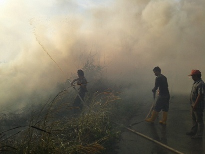 Polda Riau Dalami Kebakaran Lahan 2 Perusahaan di Rohul