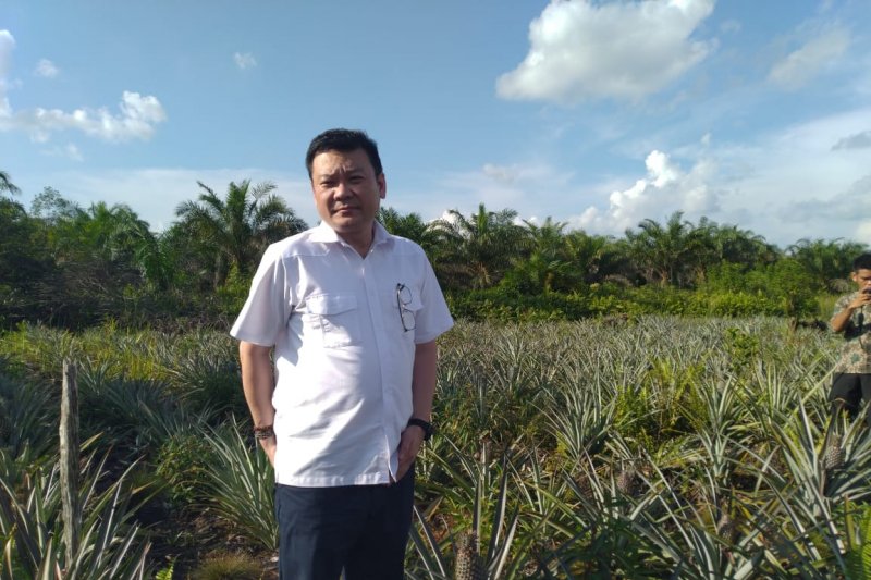 BRG dan KLHK berbagi peran restorasi gambut