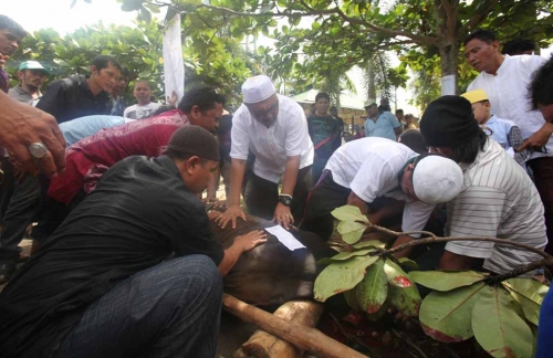 IMRA RAPP Bagikan 6.426 Kantong Daging Qurban