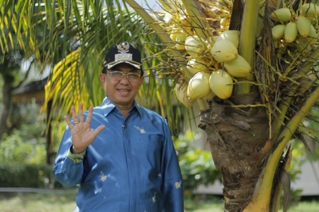 Program Bupati Wardan Tingkatkan Ekonomi Petani Kelapa Inhil