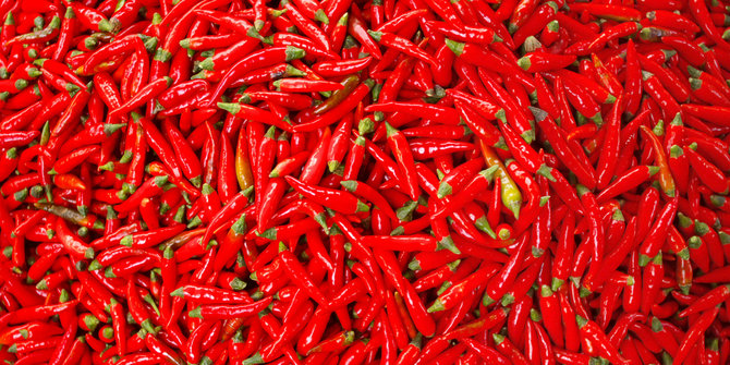 Harga Cabai Merah Di Inhil Masih Sangat Pedas