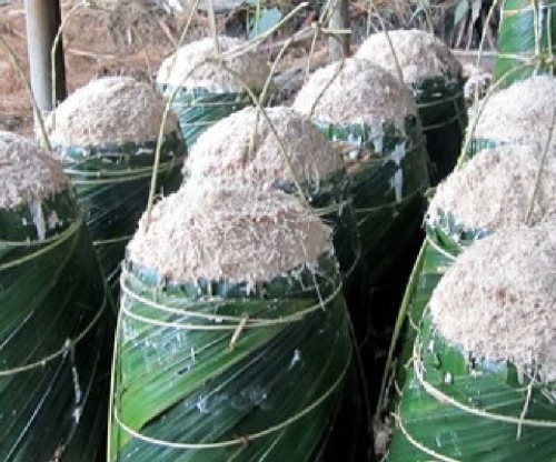 Disperindag Lirik 2 Makanan Tradisional Inhil Ini