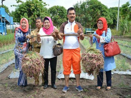 Direktur Perlindungan Tanaman Pangan dan Holtikultura Kementerian Pertanian Tinjau P4S