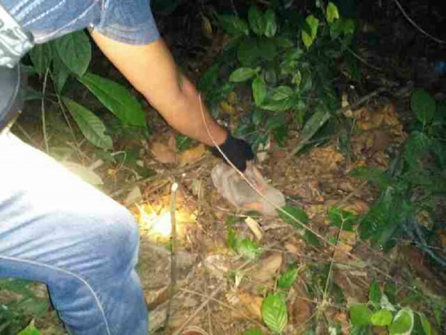 Tragis, Kakek di Kuansing Ini Akhiri Hidup dengan Cara Gantung Diri