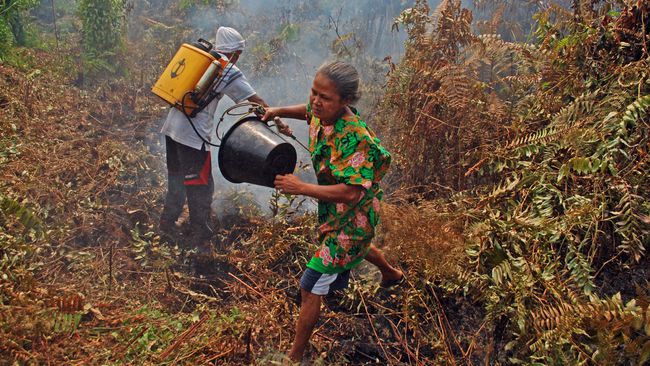 Jikalahari: Minta Kapolda Riau Mencabut Kasus SP3 Karhutla di Riau 