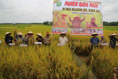 Petani Sungai Mandau Dapat Bansos dari Kementan RI