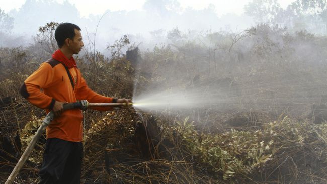 Kebakaran Hutan, Polisi Belum Bisa Sentuh Korporasi