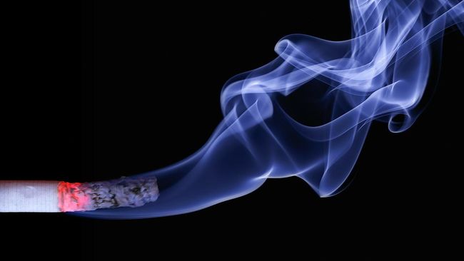 Ine Febriyanti Dukung Kampanye Bahaya Rokok 