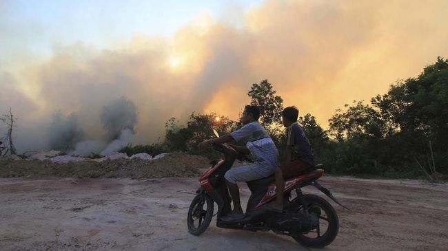 Status Siaga Karhutla, 54 Titik Api Terdeteksi di Riau