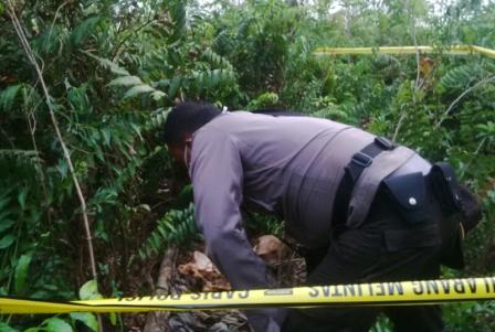 Penemuan Tengkorak Manusia Bikin Geger Warga Dumai